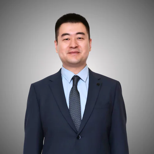Ding Lei, legal counsel